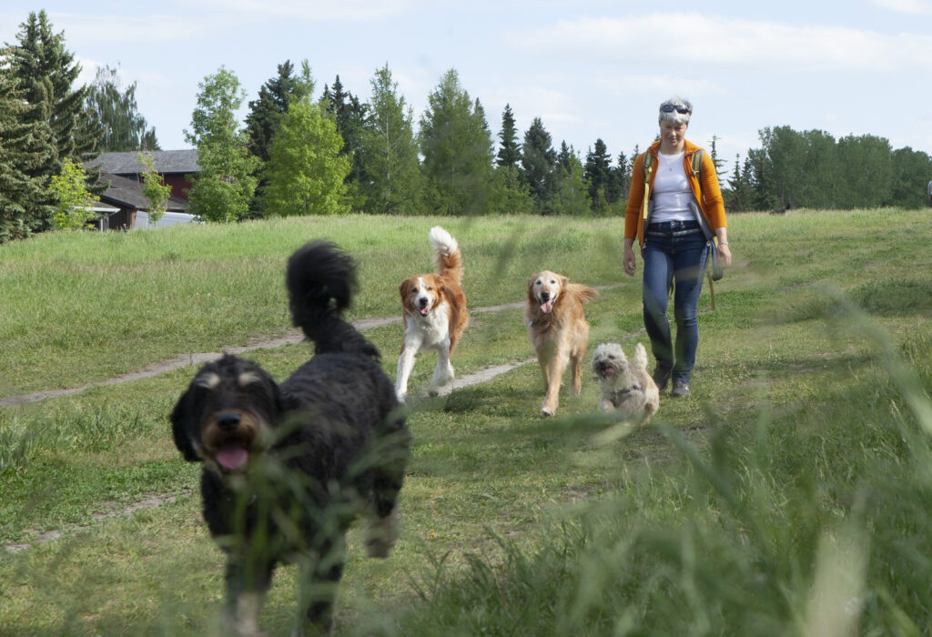 Hello, I'm Olya, the Founder of Paws Away! I started Paws Away, not just to be another option for dog boarding; but to re-imagine canine care and overnight stays in the Calgary area At Paws Away, I’m dedicated to providing exceptional care for your beloved dog because I understand that they’re not just pets—they’re family. If you have a dog in Calgary, here are some of my favourite tips to help them thrive in our dog-friendly city: